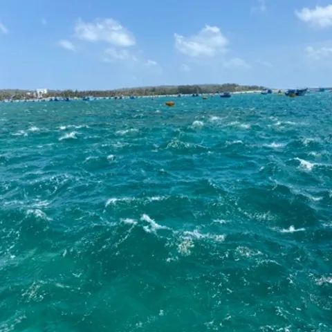 hcm tennis test club