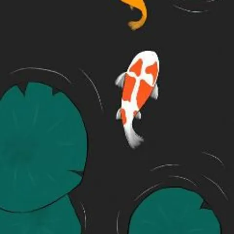 Tan Phu American football club